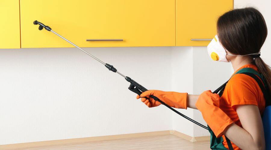 Why choose Cricket Exterminator in Vineland NJ for cricket exterminator in Vineland